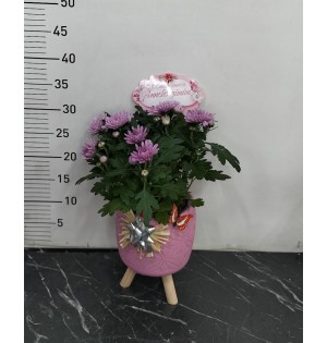 Ayaklı Saksı da Kasımpatı Çiçeği